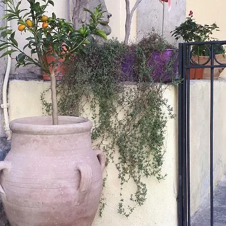 Mamarico' Apartamento