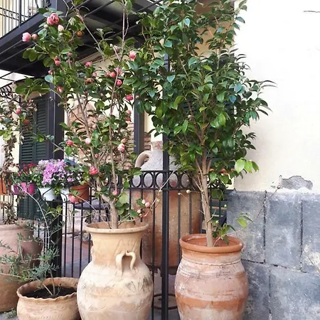 Mamarico' * Catania