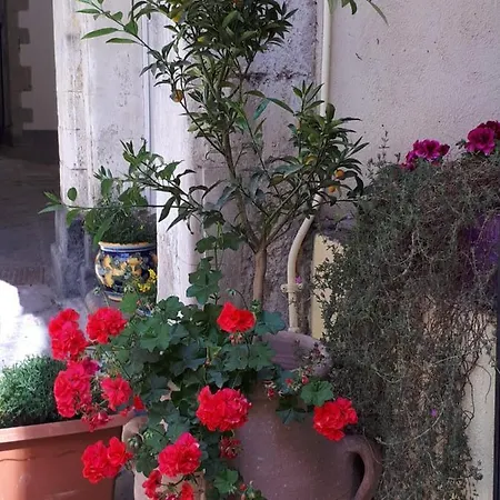 Mamarico' Catania
